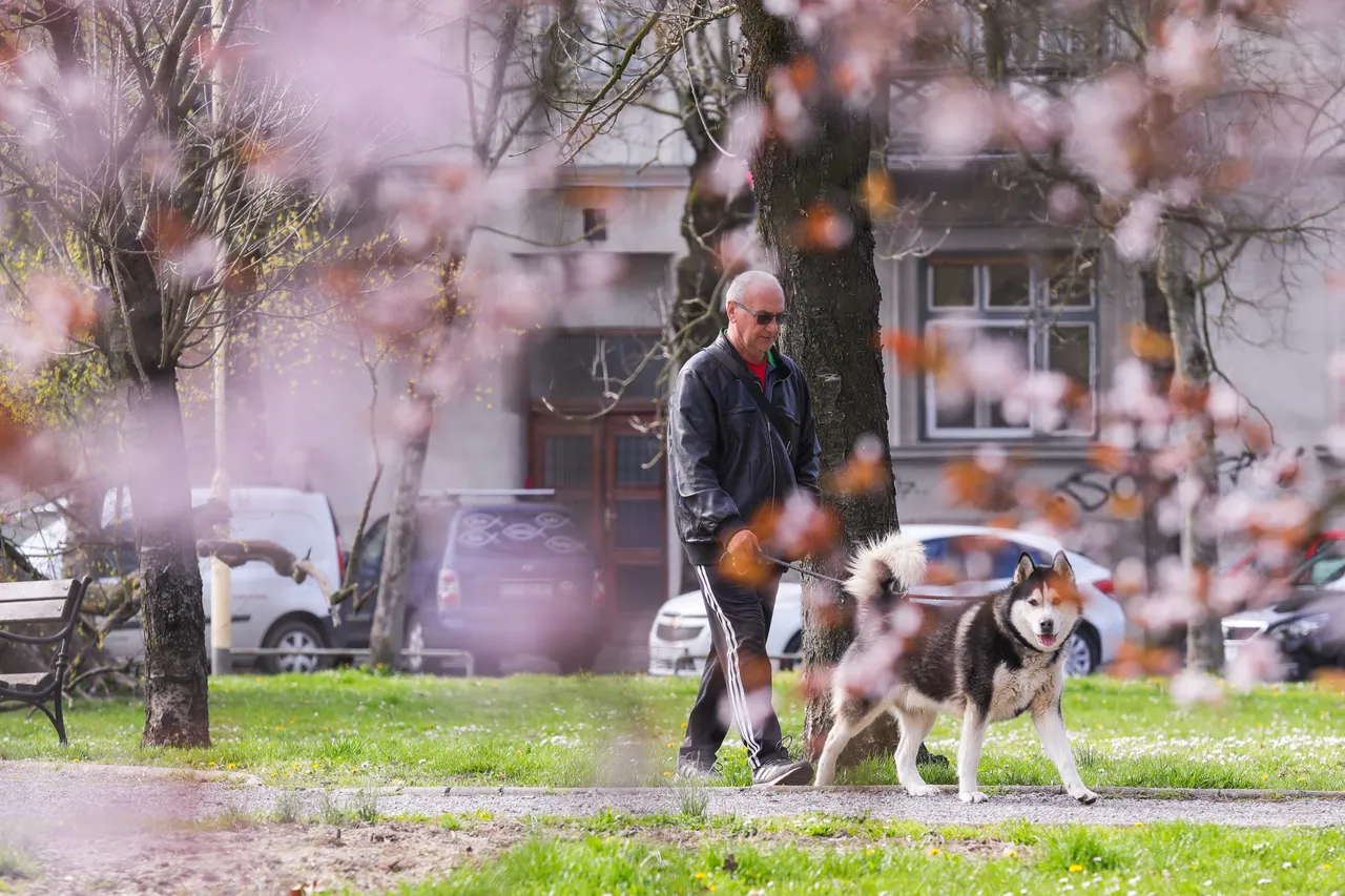 Osijek: Proljetna idila u Perivoju kralja Tomislava