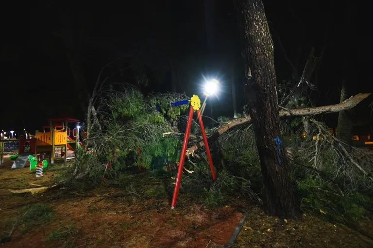 Olujni vjetar člupao stabla u Zadru, nastala velika materijalba šteta