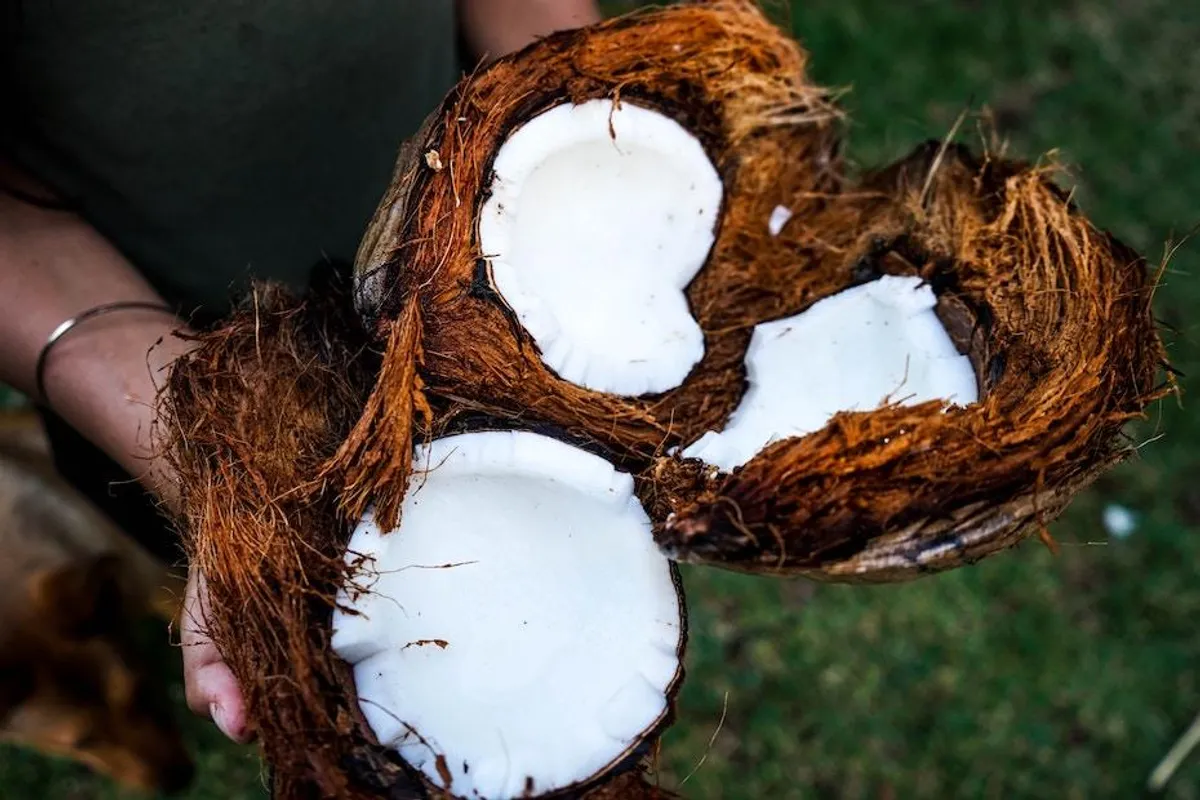 7 ukusnih recepata za sve koji vole kokos