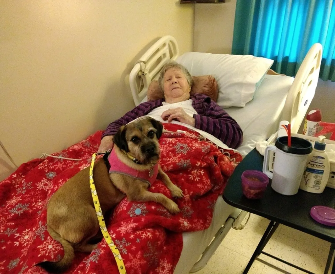 "Moja 93-godišnja baka je jako usamljena u bolnici, a uvijek se raduje kada joj dovedemo psa"