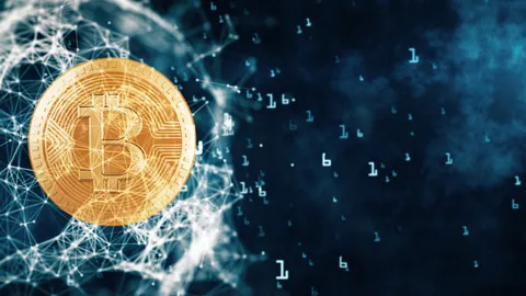 isplati li se više ulagati u bitcoin? ohmar dnevno trgovanje kriptovalutom