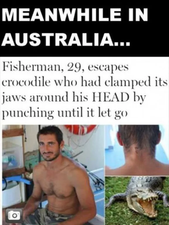 australija, krokodil, članak