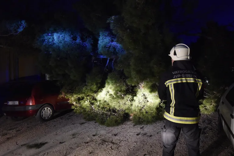 Vatrogasci s vozila uklanjaju stabla koja je srušila jaka bura