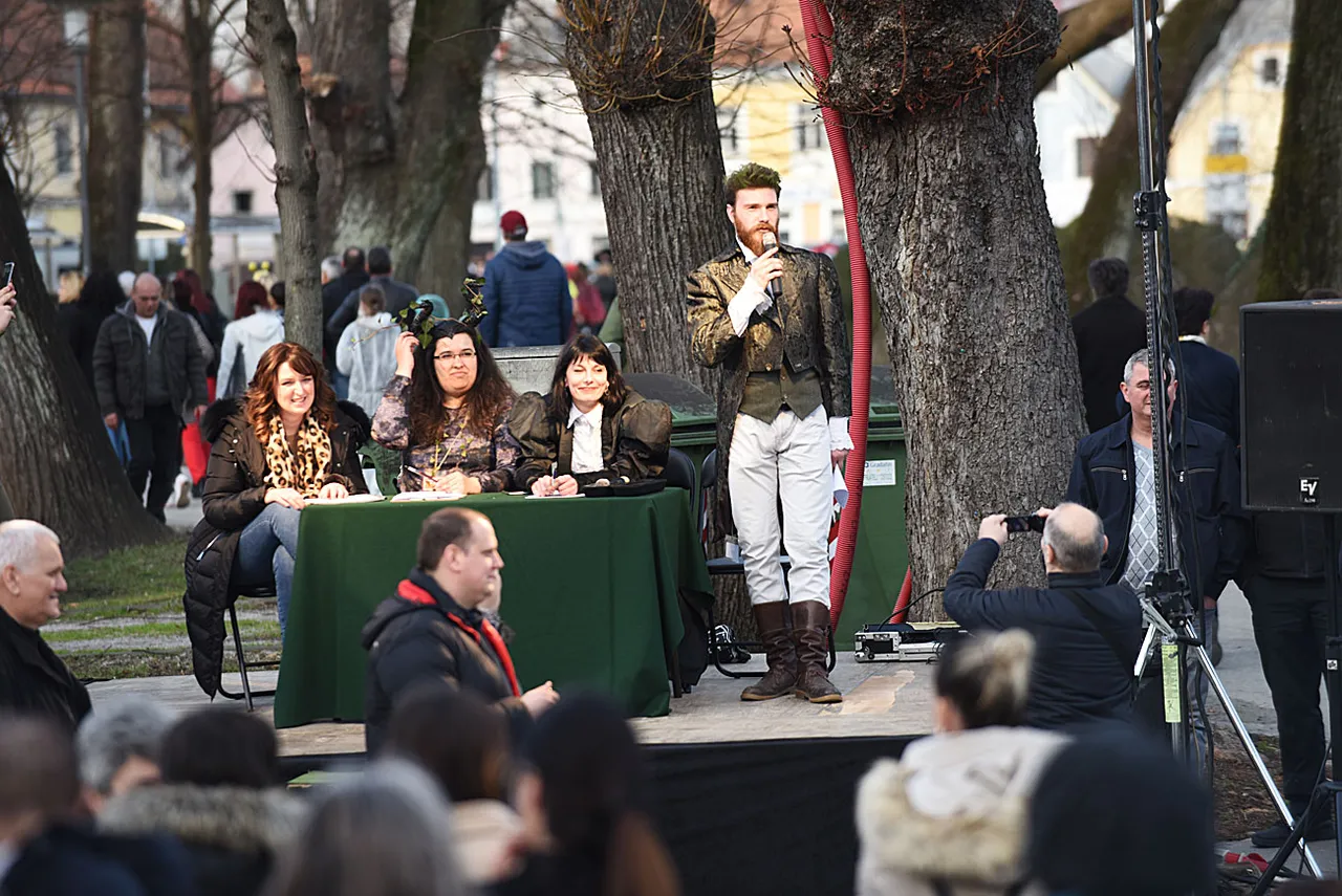 Karneval - Karlovac