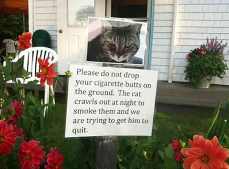 "Molim vas, nemojte bacati opuške po dvorištu. Mačka se noću iskrada ipuši. Pokušavamo je odviknuti".