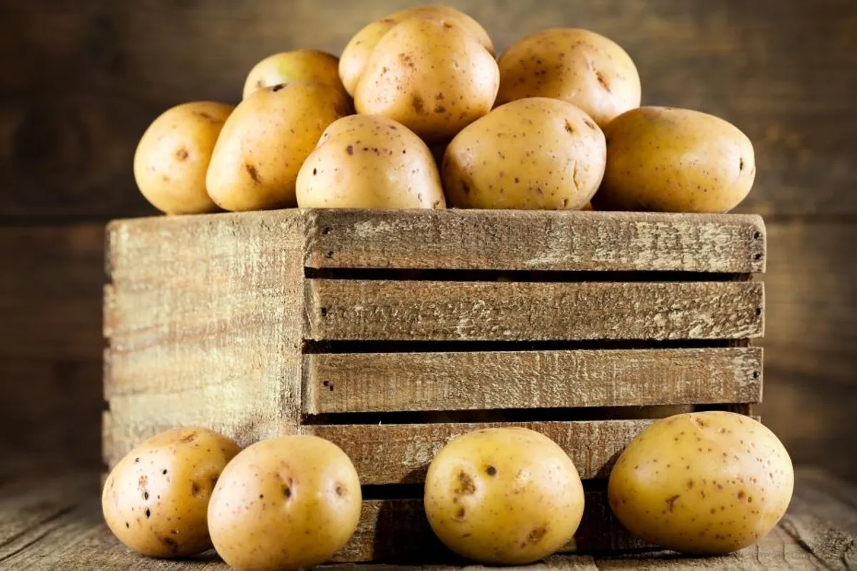 Krumpir – idealna namirnica za mršavljenje? Stvarno?