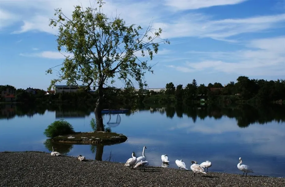 Vinkovci - šarmantna turistička destinacija u koju ćete se poželjeti vratiti