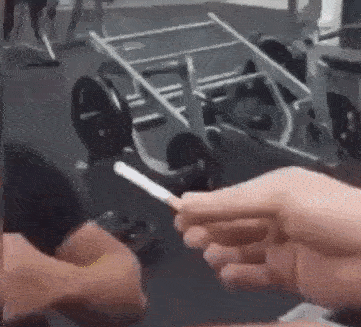 if-you-go-down-to-the-gym-today-you-are-sure-for-a-weird-surprise-15-gifs-1