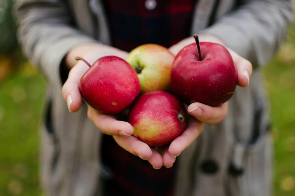 Jabuka – simbol zdravlja
