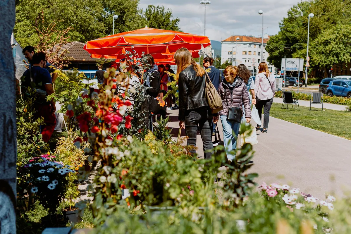 Plant market na Branimircu foto Ernest Mazarekić (16).jpg