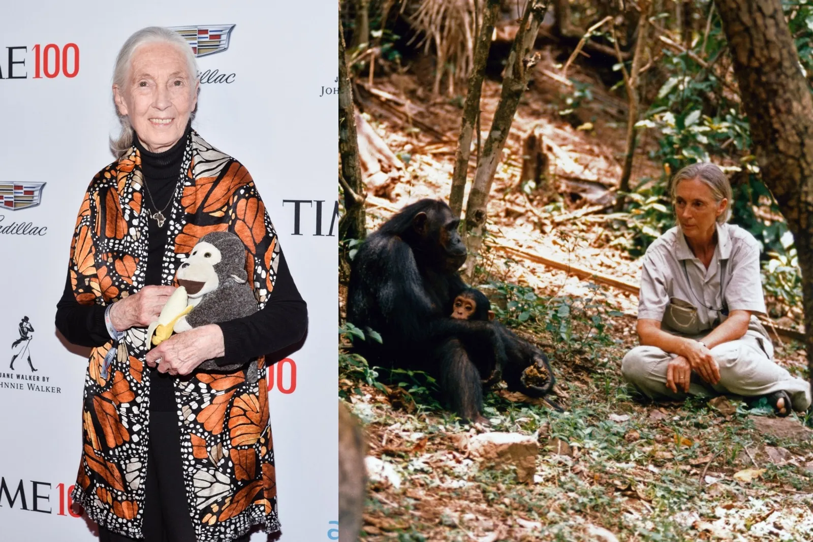 janegoodall.jpg