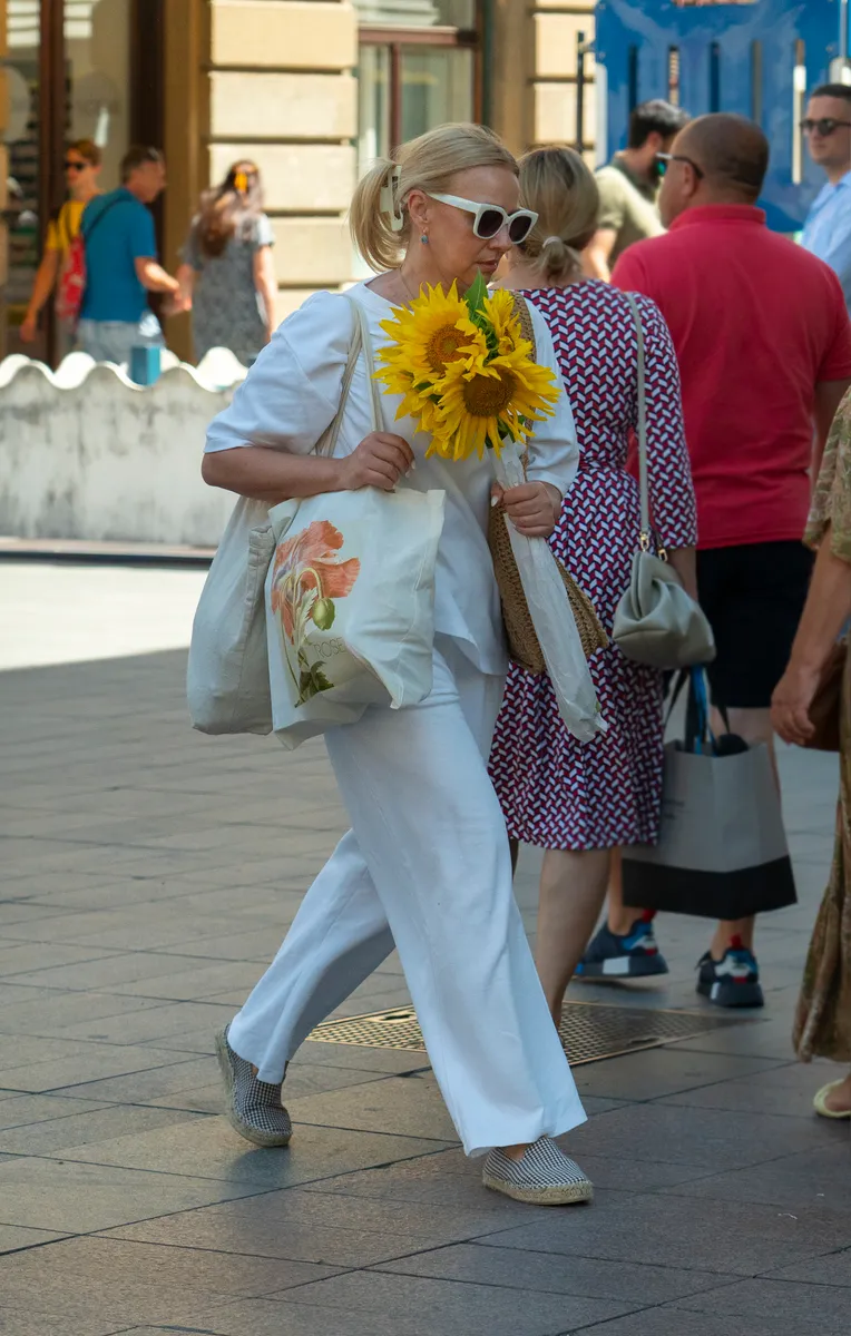 Zagrebačka špica