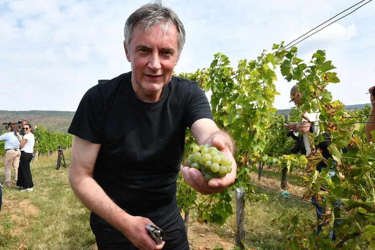 Kampanja u vinogradu: Miroslav Škoro organizirao berbu grožđa pa pozvao novinare
