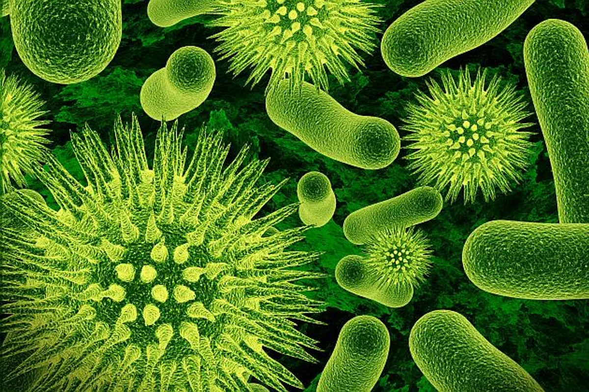 Znate li razliku između virusa i bakterija?