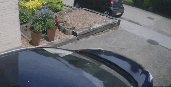 proof-that-people-shouldnt-be-allowed-anywhere-near-a-motor-vehicle-14-gifs-1
