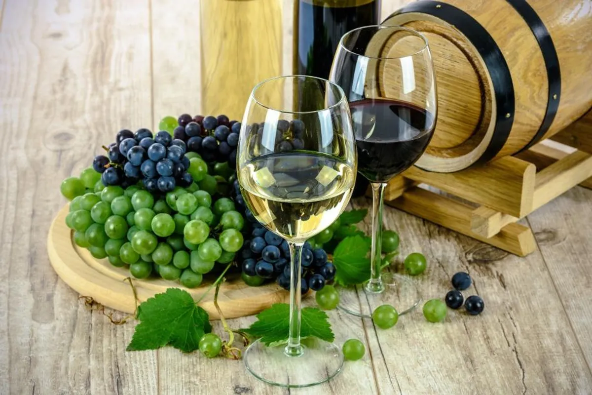 Koja je podjela vina?