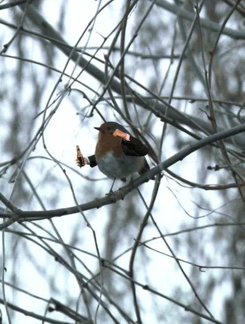 birds-with-arms-gifs-are-the-gift-you-never-knew-you-needed-in-your-life-1