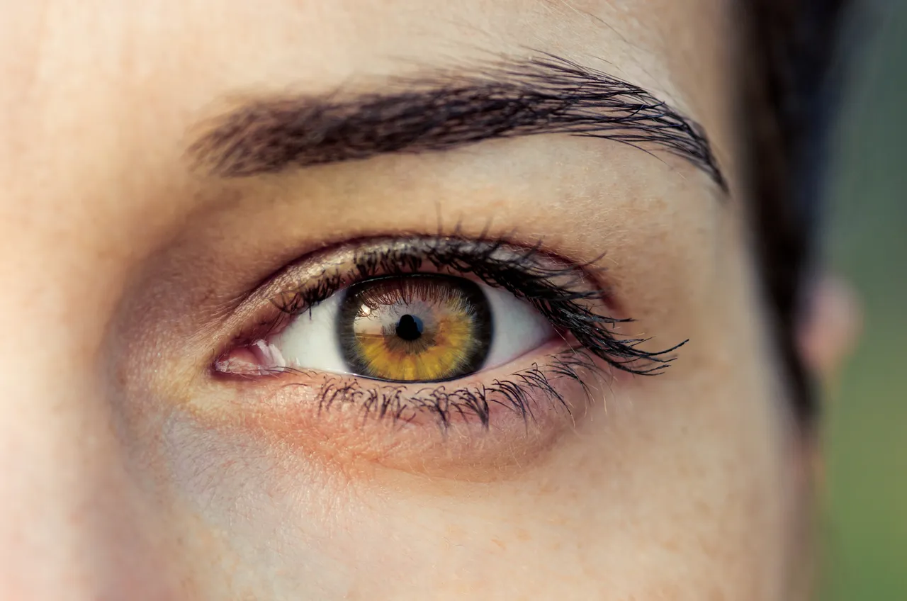 Kao što znate, oči su odgovorne za gledanje i čine nas jedinstvenima svojim oblikom i bojom. No, jeste li svjesni da oči puno govore o vašem zdravlju?