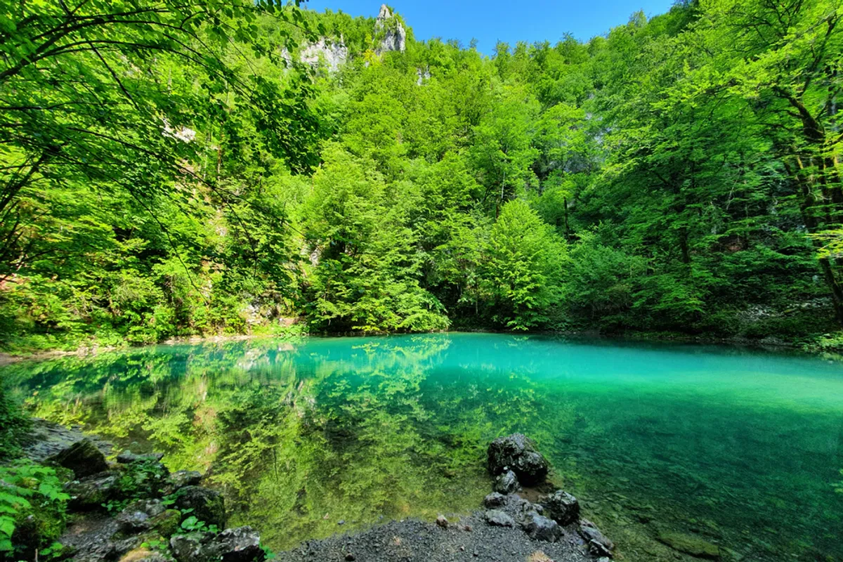 shutterstock_1787593148.jpg