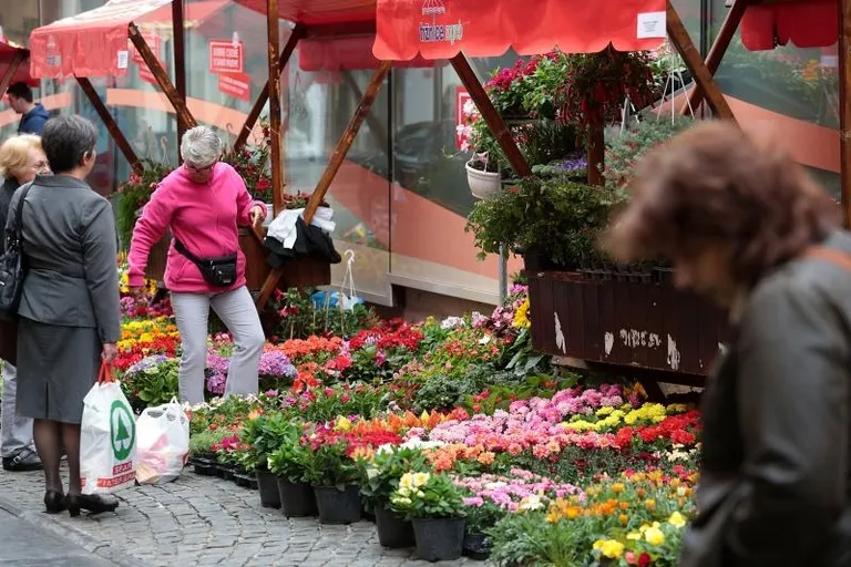 Floraart ponovno u centru Zagreba