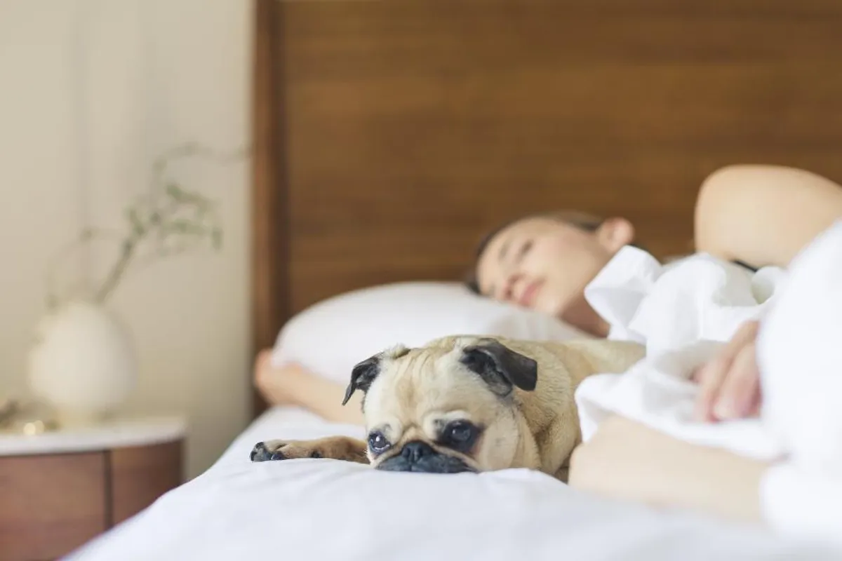 Poza u kojoj spavaš može uvelike utjecati na zdravlje. Provjeri jesi li izabrala najbolju?