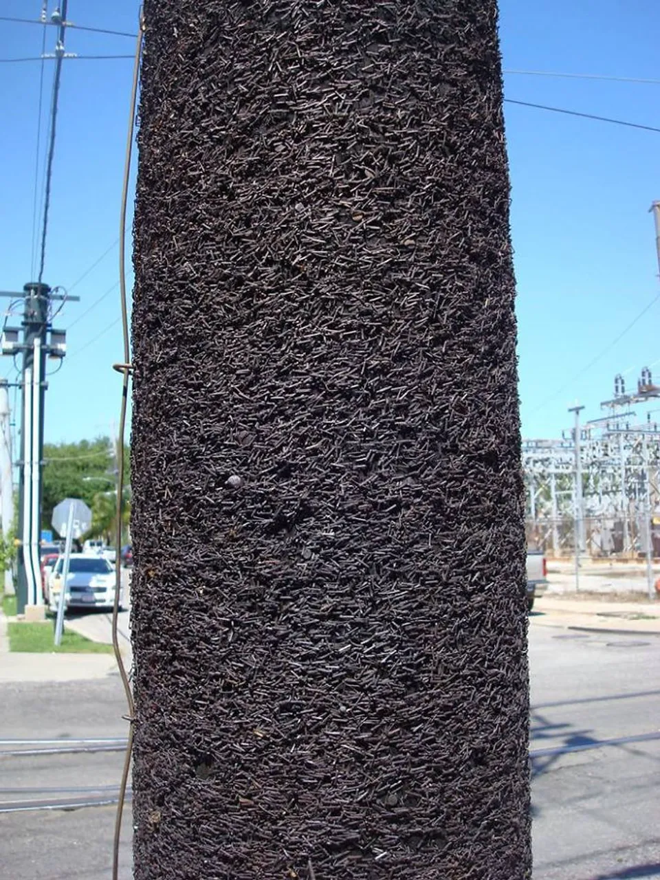 5a046f9962537_ze7FcO3-png__700