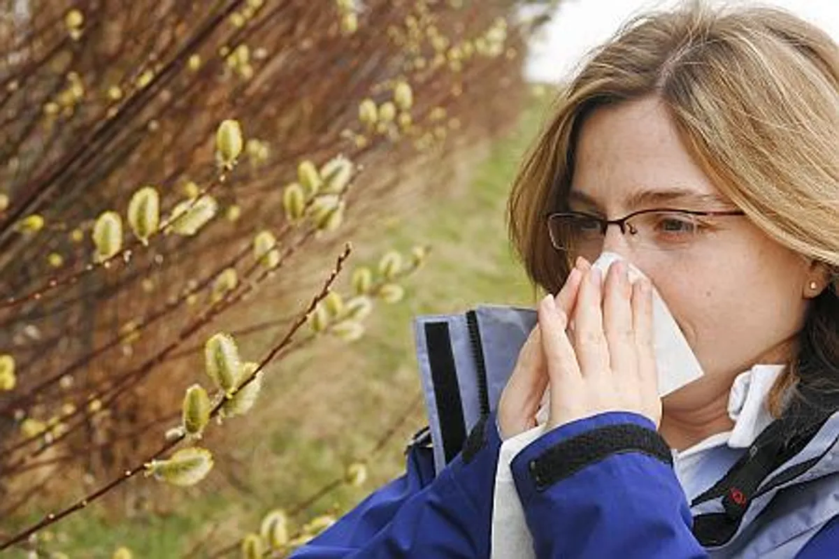 Alergije – sve češći problem