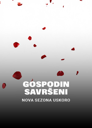 gospodin savršeni