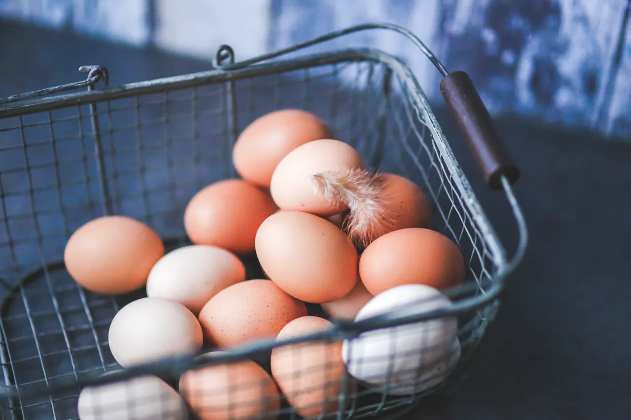Jaja su nutritivna 'bomba' i dobra je vijest da ih možemo svakodnevno jesti
