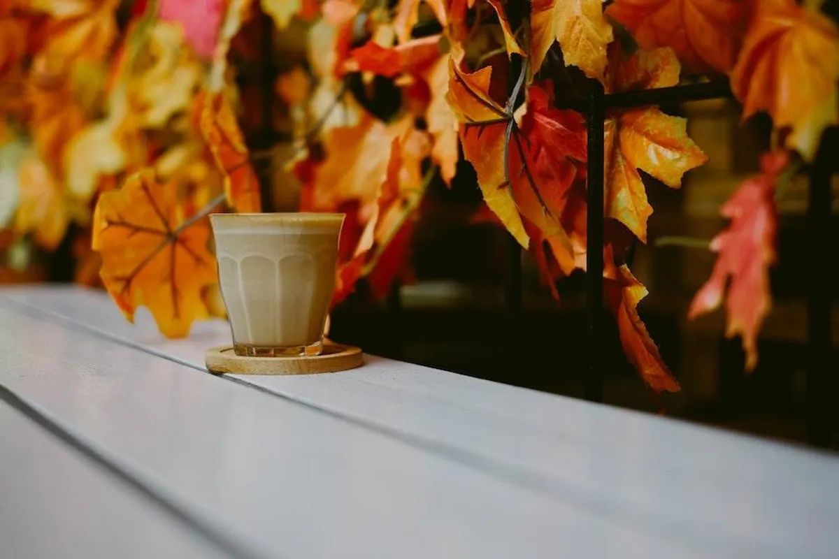 Dalgona ili pumpkin spice latte? Horoskop otkriva kakva ti kava odgovara