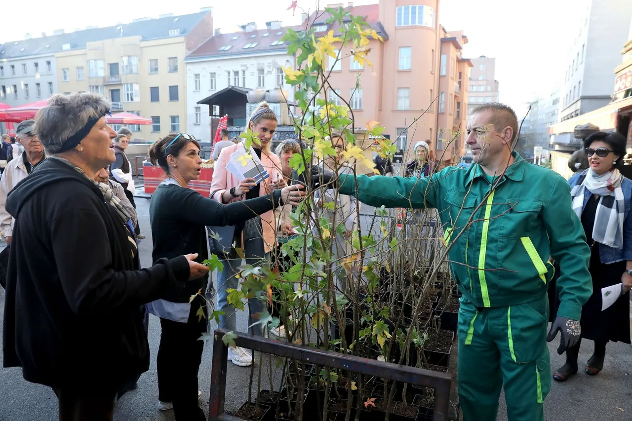 Zagreb: Građanima na Dolcu podijeljena stabla u sklopu akcije "Zasadi drvo, ne budi panj"