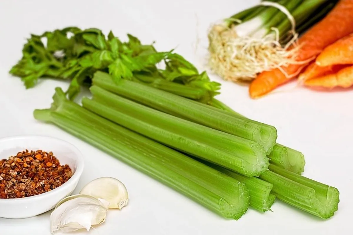 Što je celer i kako ga jesti?