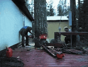 todays-the-day-the-trees-fight-back-x-gifs-8