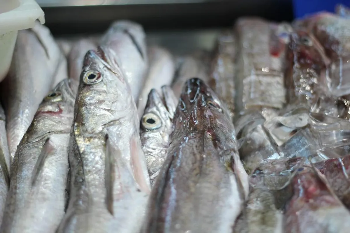 Kako se vrši pravilno odmrzavanje ribe?