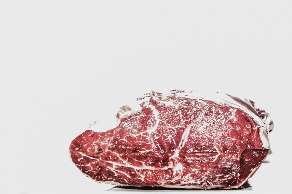 Koliko dugo meso može biti zamrznuto?