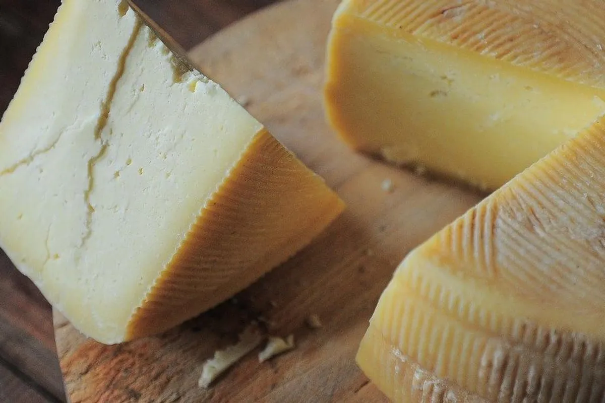 Savjeti kako čuvati svježi sir
