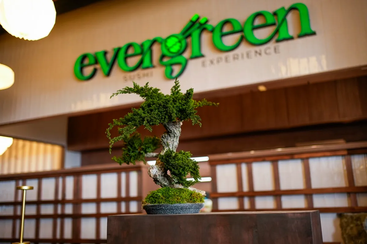 Evergreen_1.jpg