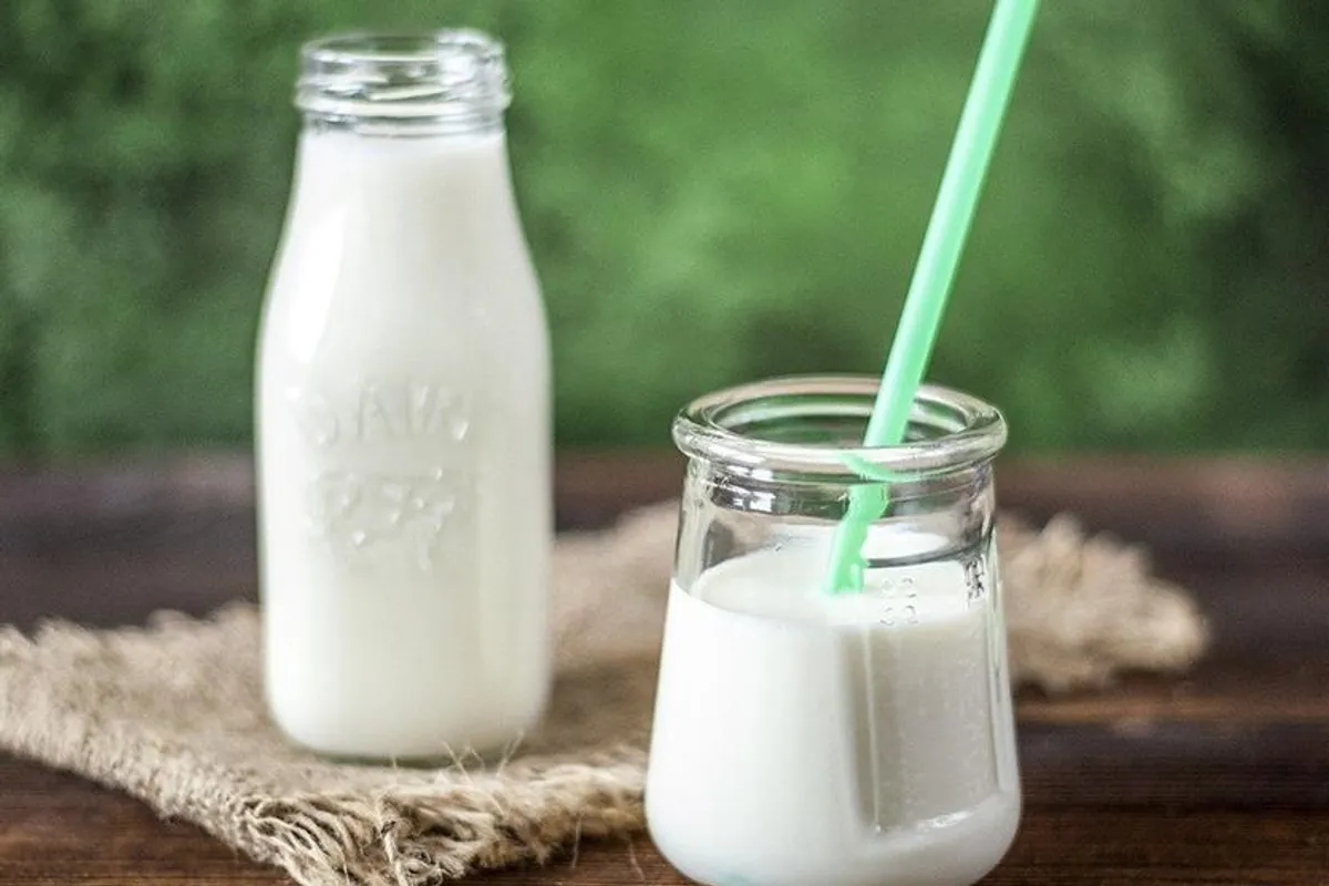 Savjeti kako iskoristiti ukiseljeno mlijeko
