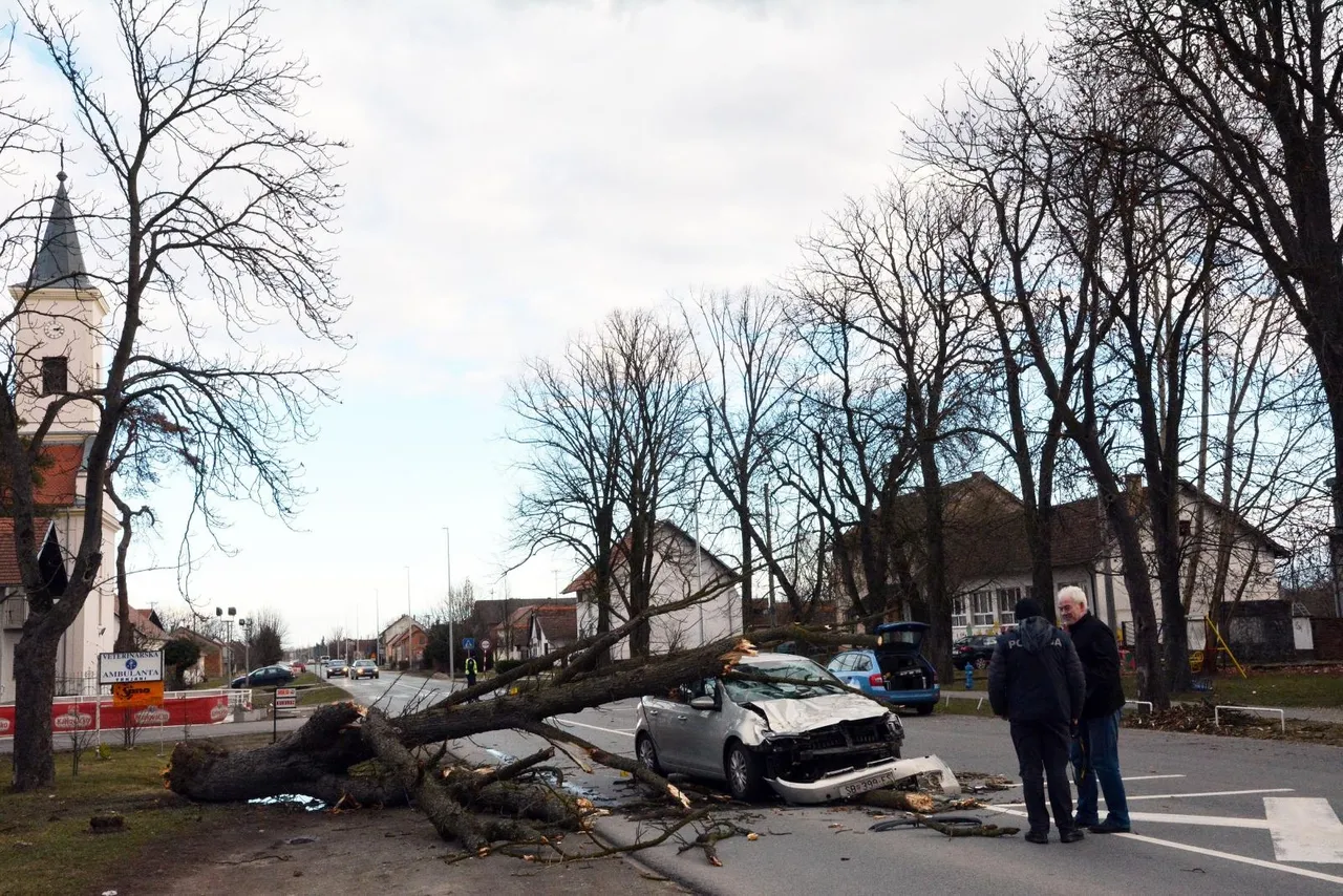 Slavonski Brod: Stablo palo na automobil u vožnji