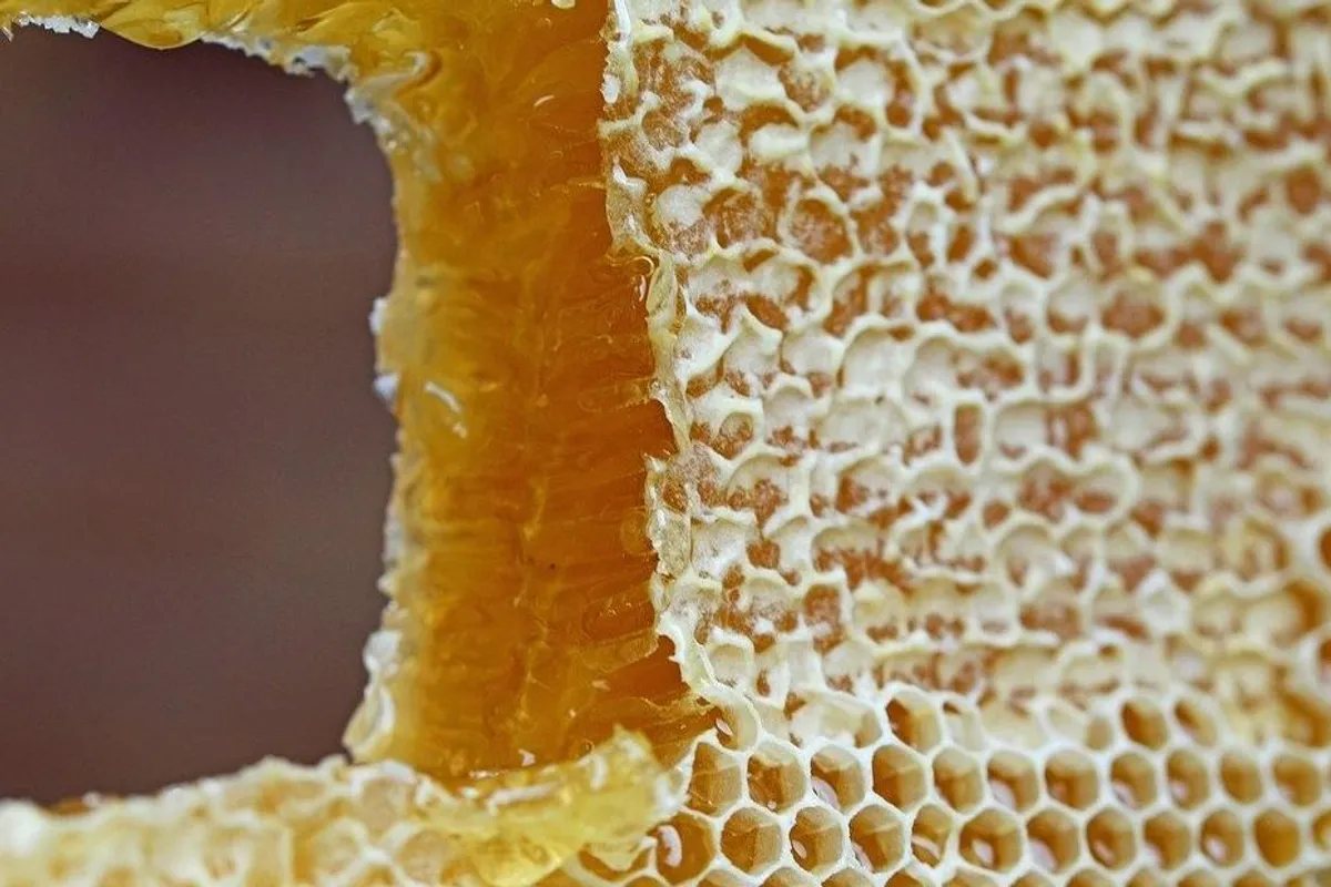Savjeti kako očistiti pčelinji vosak