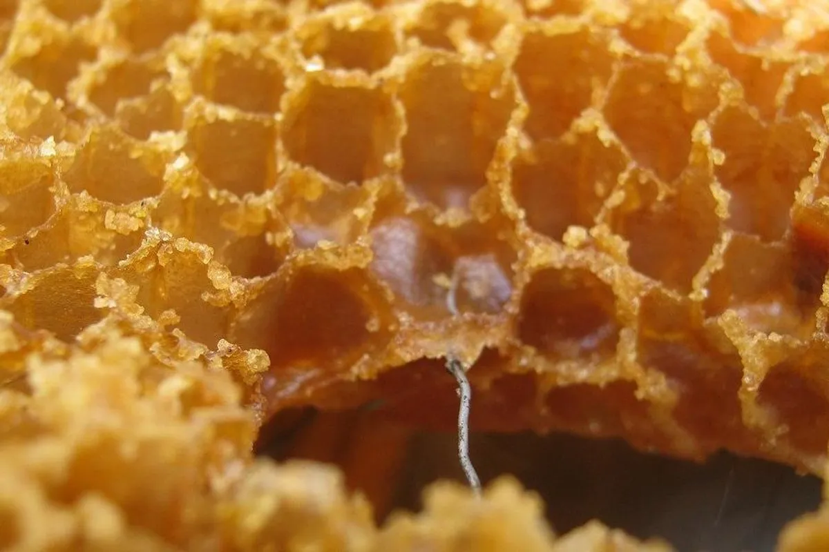 Korisna saznanja i spoznaje o prirodnim preparatima - Kako otopiti pčelinji vosak?