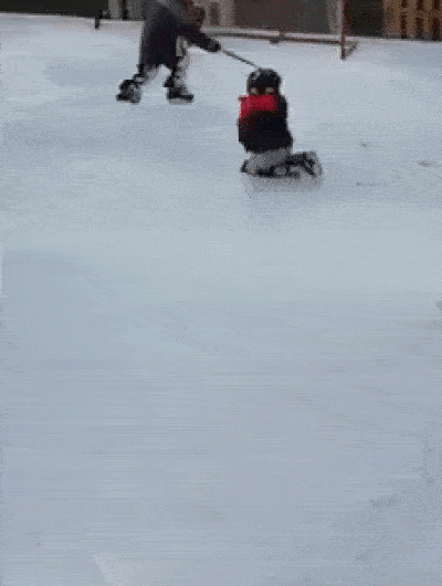some-animals-just-want-to-watch-the-world-burn-15-gifs-1