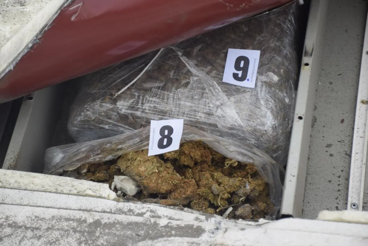 U hladnjači kamiona u zagrebačkoj Trnovčici pronađeno oko 100 kilograma marihuane