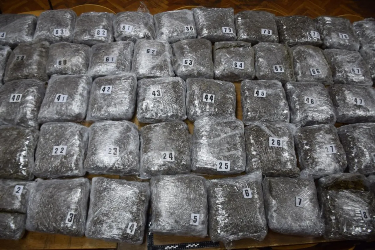 U hladnjači kamiona u zagrebačkoj Trnovčici pronađeno oko 100 kilograma marihuane
