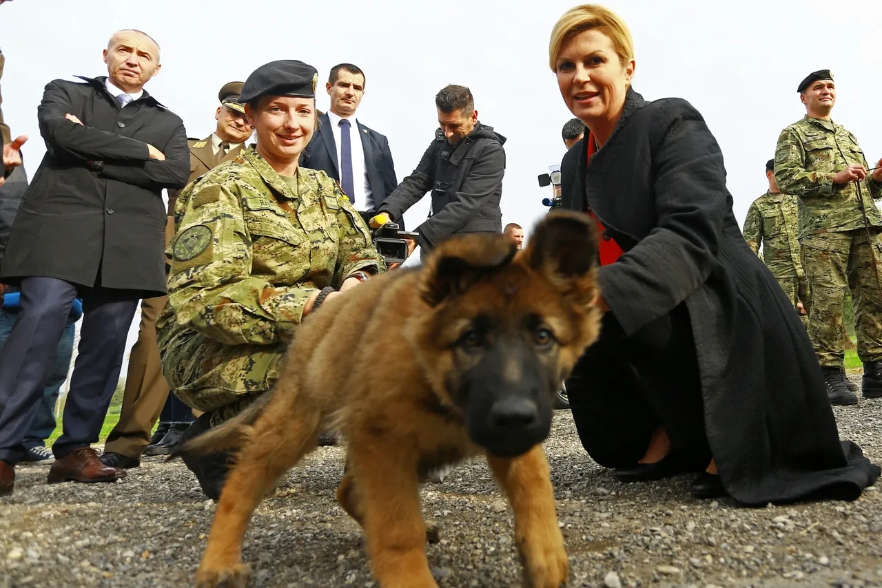 Predsjednica obišla vježbu vojnih pasa