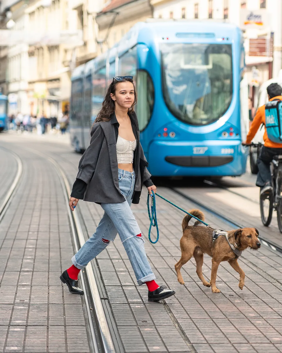 Zagrebačka špica - 24.5.2025.