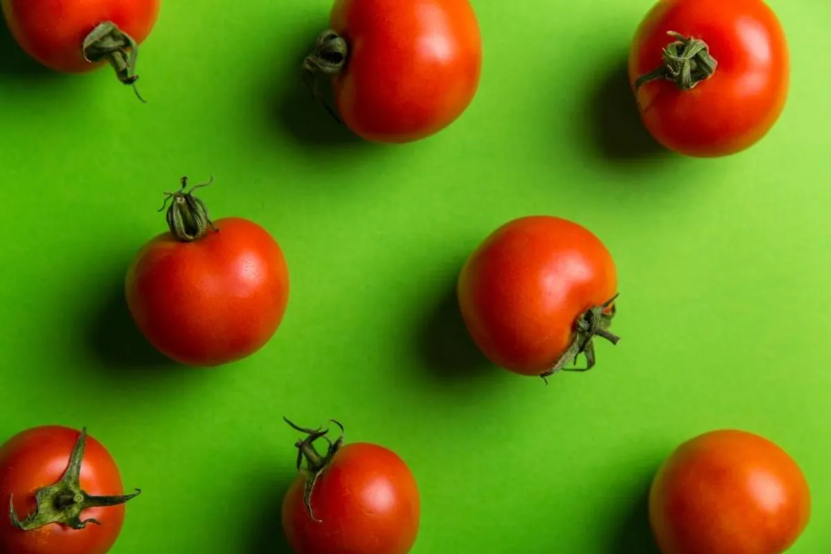 Naučite super trikove kako sačuvati sušene rajčice