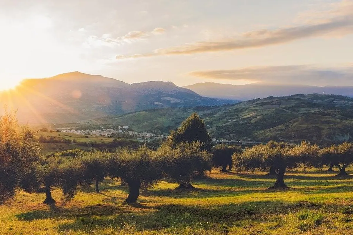 Mjesta na kojima prevladava mediteranska vegetacija