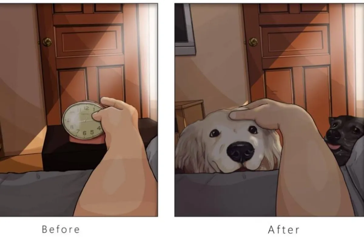 Život prije i poslije psa: Galerija s kojom će se poistovjetiti svi vlasnici