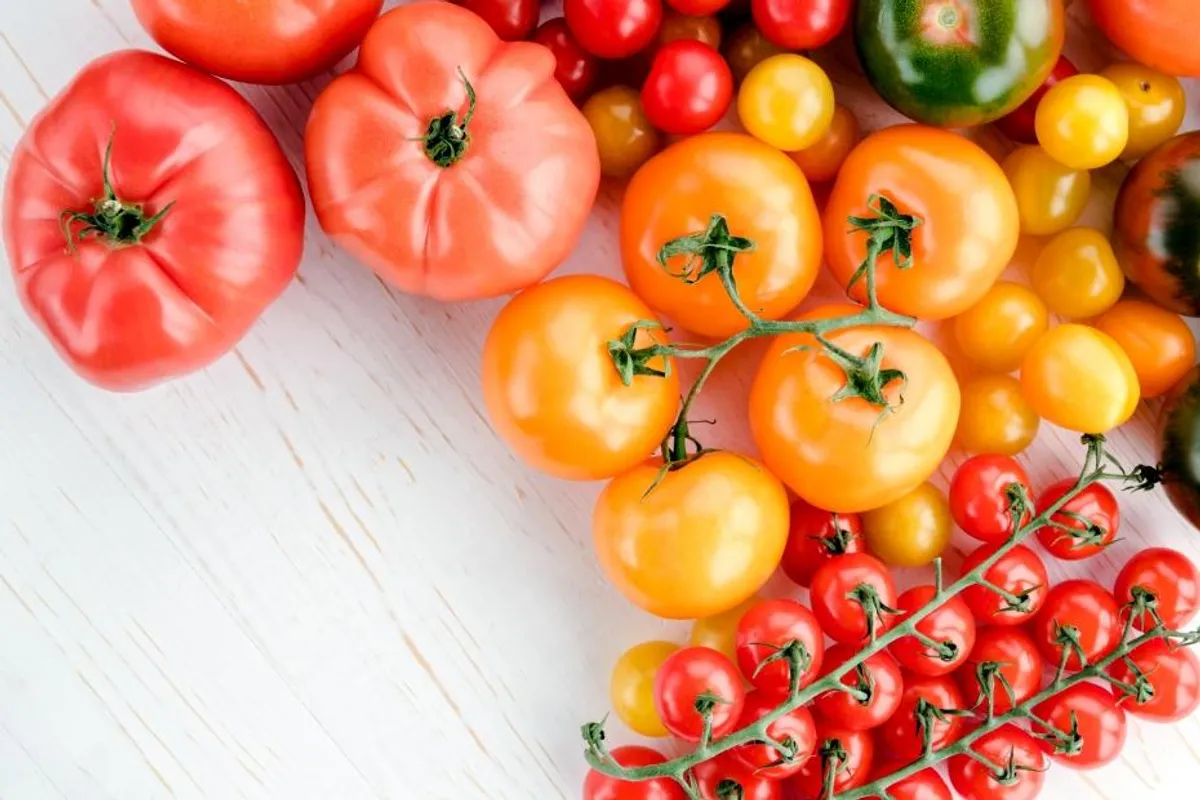 Obožavamo rajčicu - isprobajte ove recepte!
